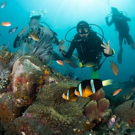Bali Dive Resort Amed Ngoại thất bức ảnh